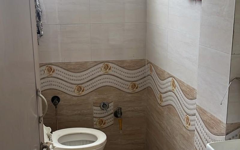 Female flatmate required in 1BHK  apartment  in Maninagar