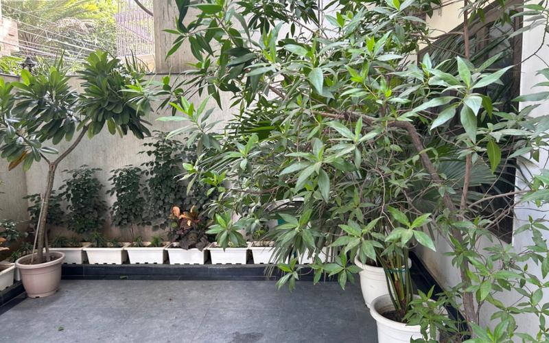Flatmate required in 3BHK  apartment  in Malviya-Nagar