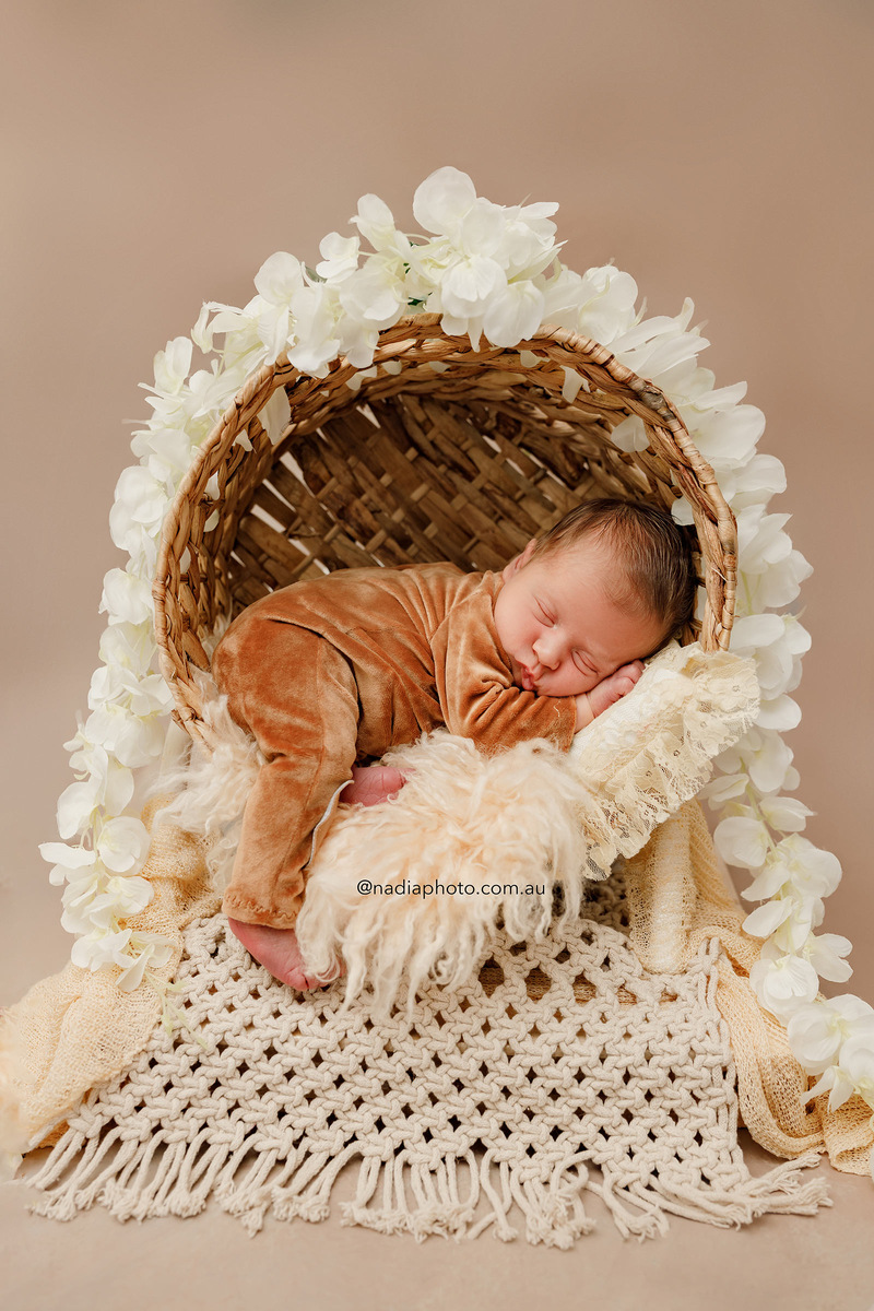 newborn photographer brisbane by Nadia Photo