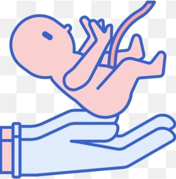 Pregnancy Care