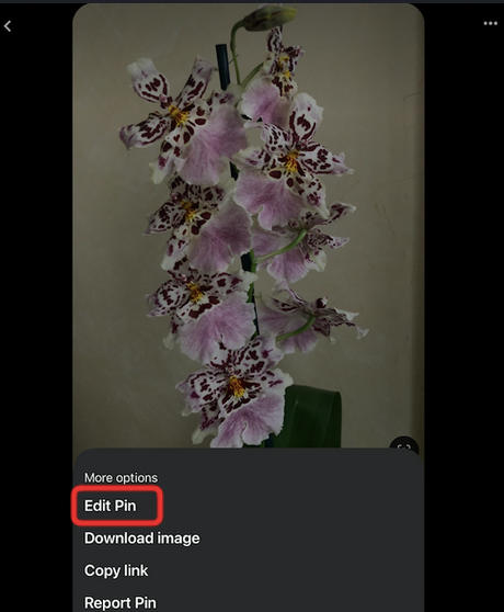 pinterest mobile edit pin