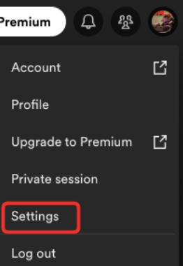 spotify desktop settings