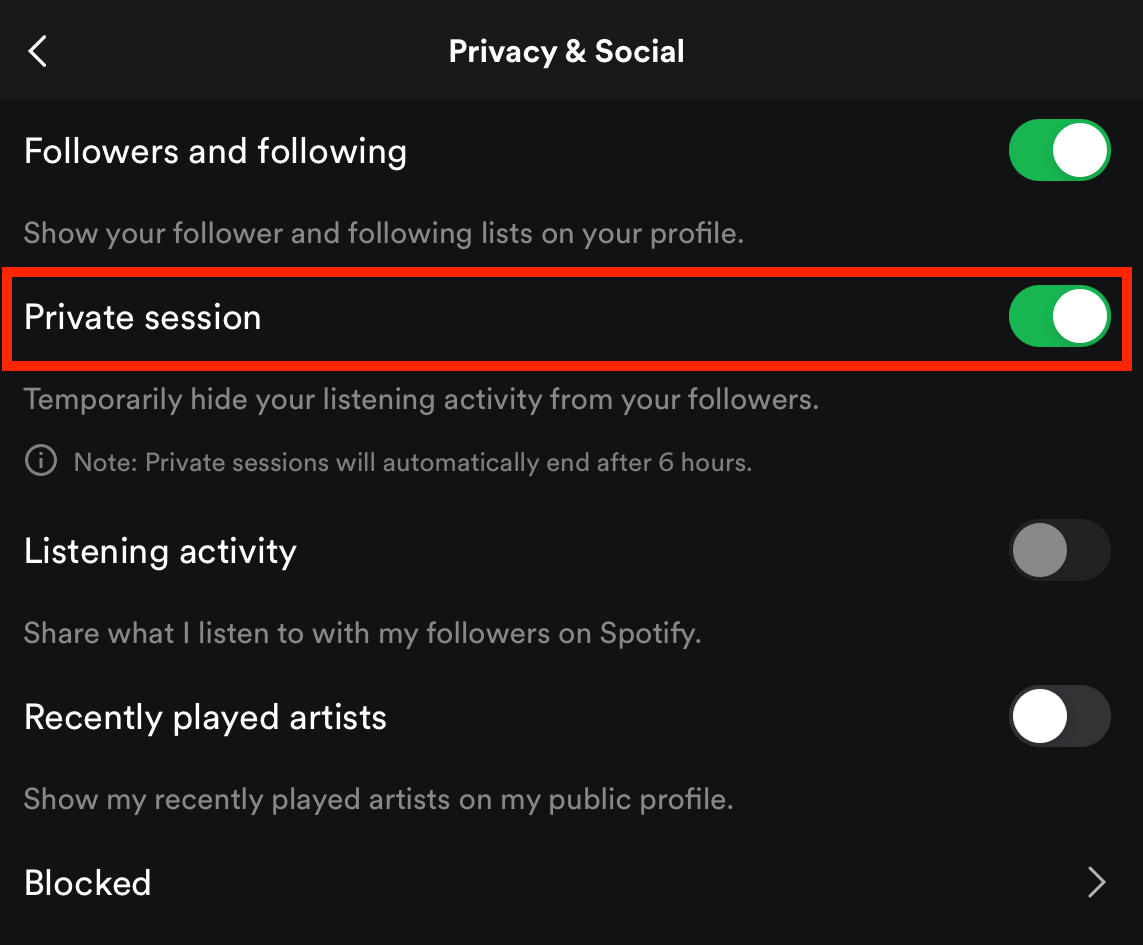 spotify private session