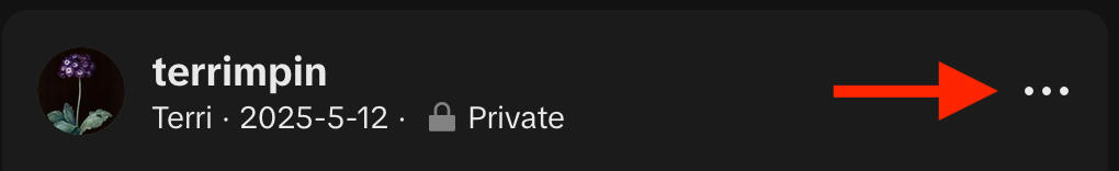 tiktok desktop post menu