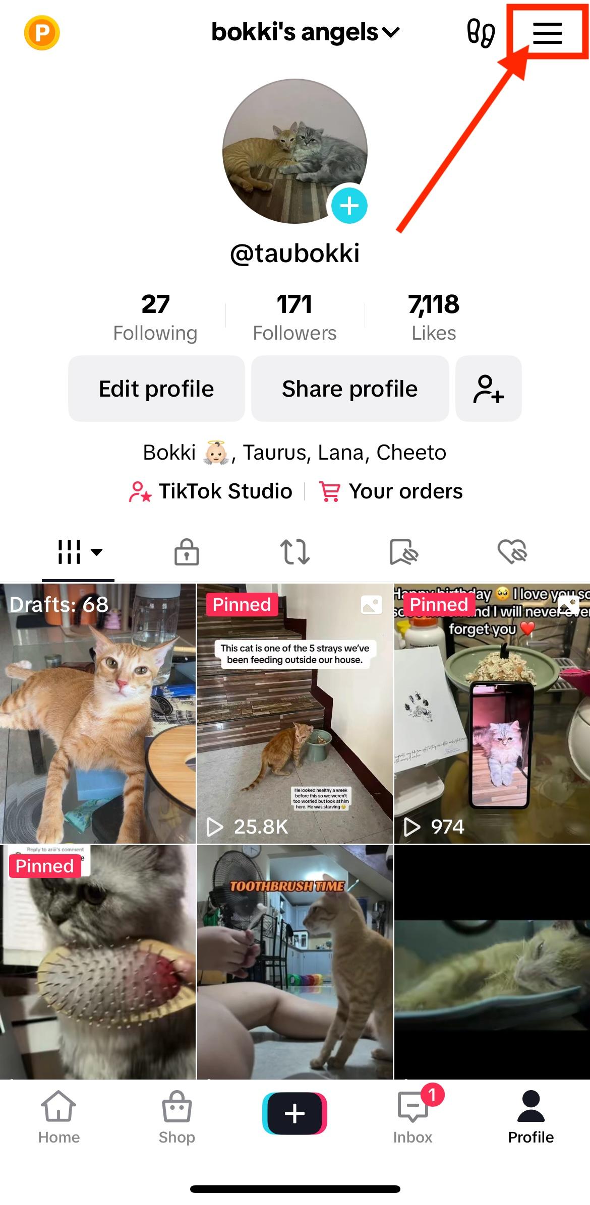 tiktok profile menu