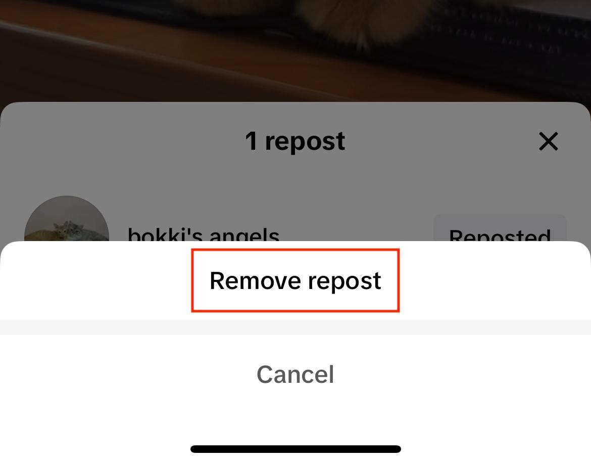 tiktok remove repost