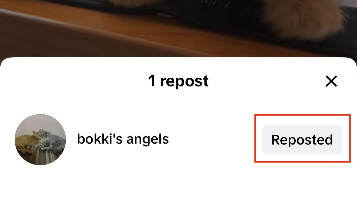 tiktok reposted