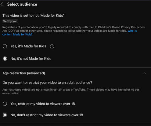 youtube audience settings