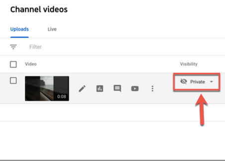 YouTube privacy options