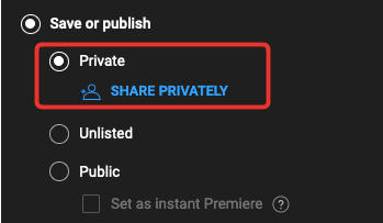 youtube visibility share privately