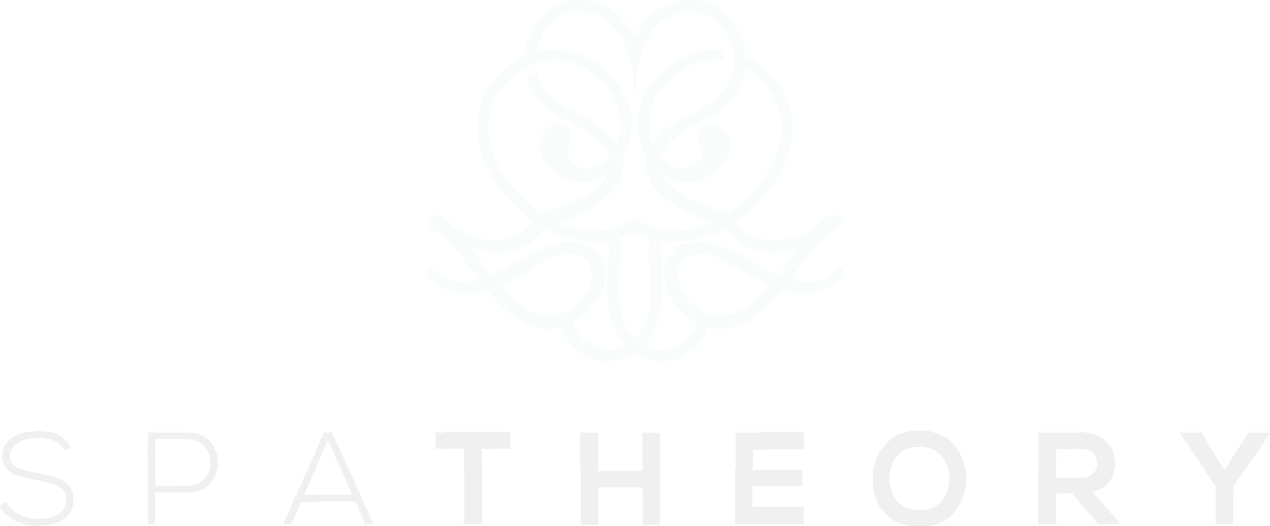 Spa Theory