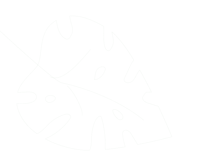 Spa Theory
