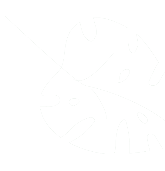 Spa Theory