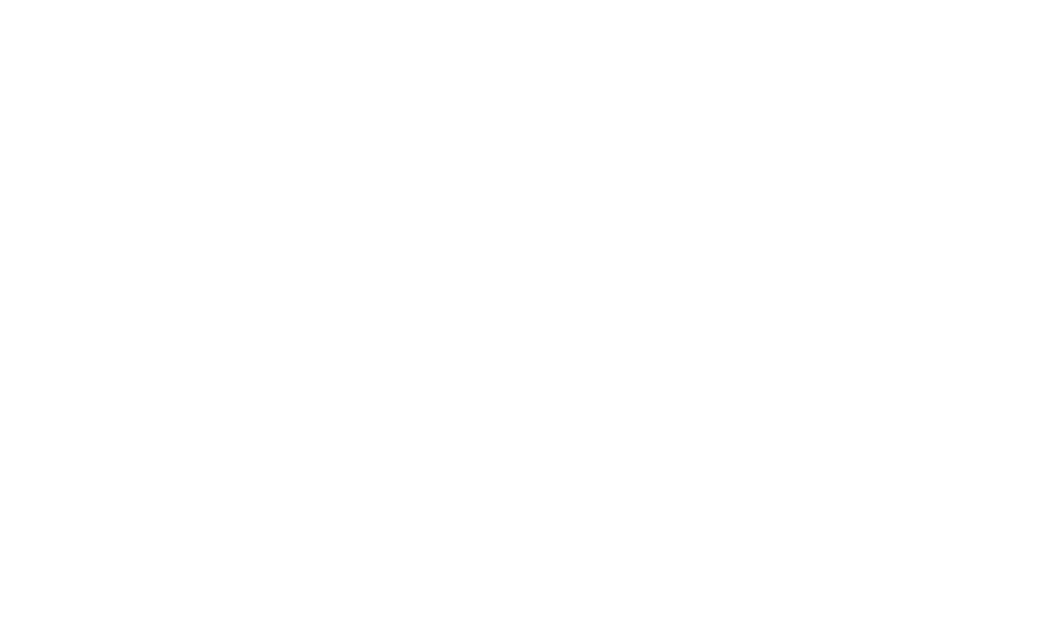Partner With Spatheory leaf