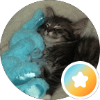 Testimonials Testimonials - unnamed 14