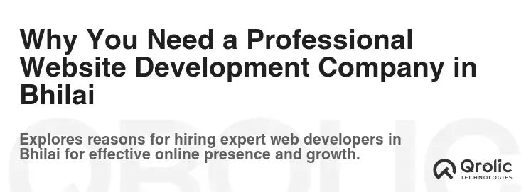 Why You Need a Professional Website Development Company in Bhilai Why You Need a Professional Website Development Company in Bhilai