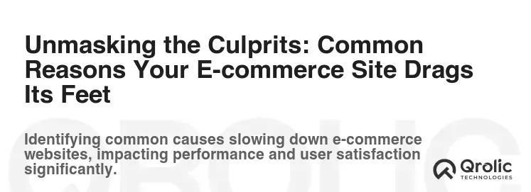 Unmasking the Culprits: Common Reasons Your E-commerce Site Drags Its Feet Unmasking the Culprits: Common Reasons Your E-commerce Site Drags Its Feet