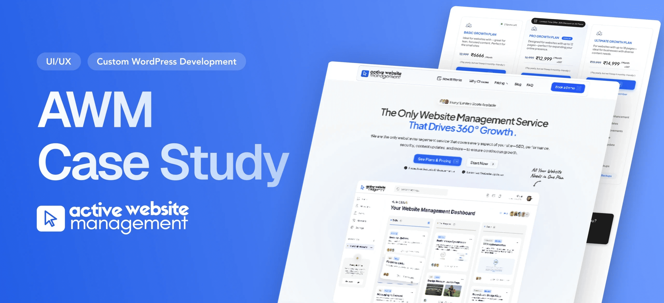 Case Studies From Launch to Growth: How AWM Keeps Websites Aligned and Performing