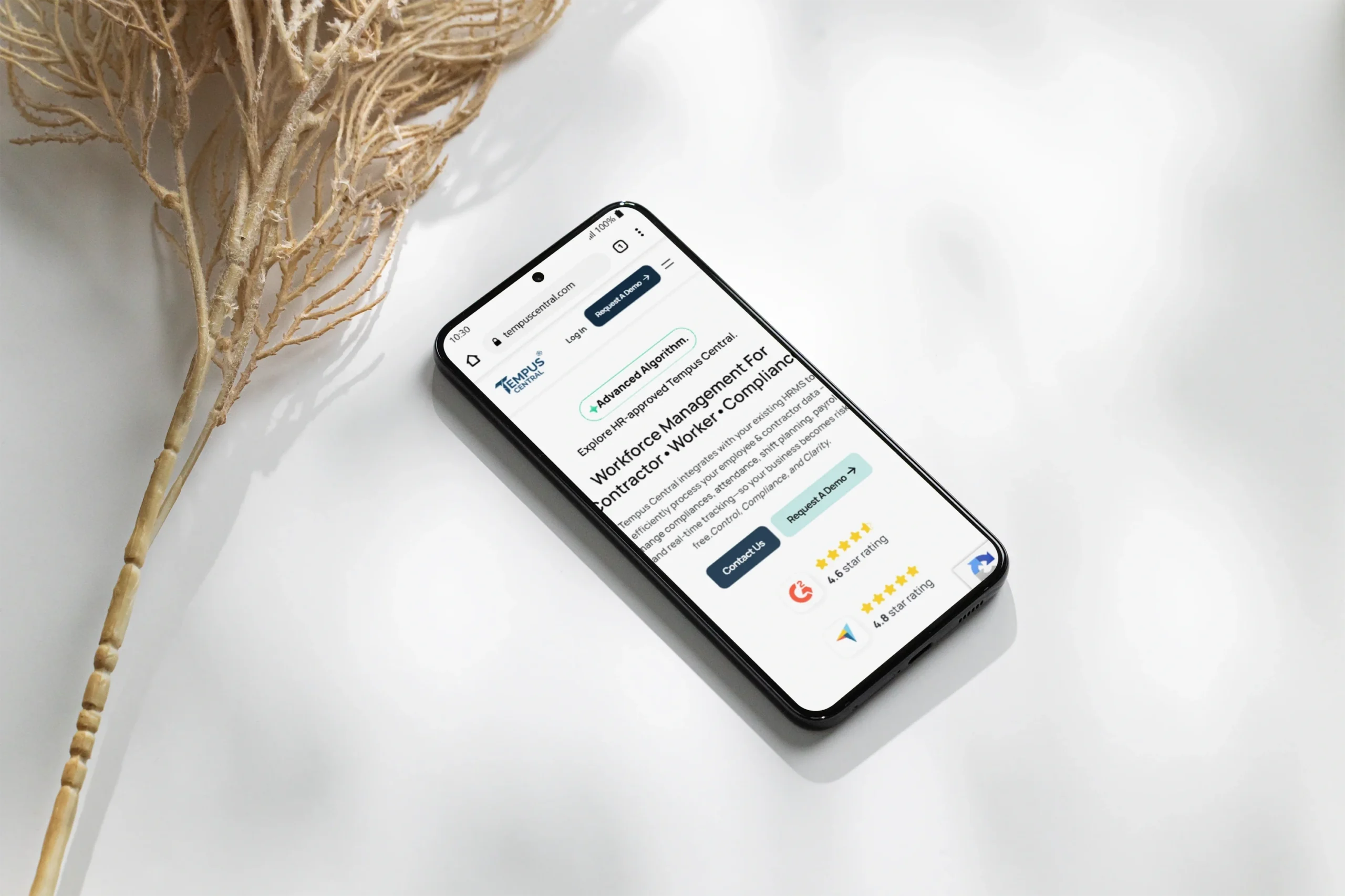 Tempus Central – Modular & Dynamic Website System Tempus Central