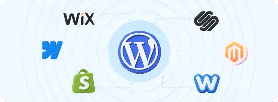 Website Migration Services