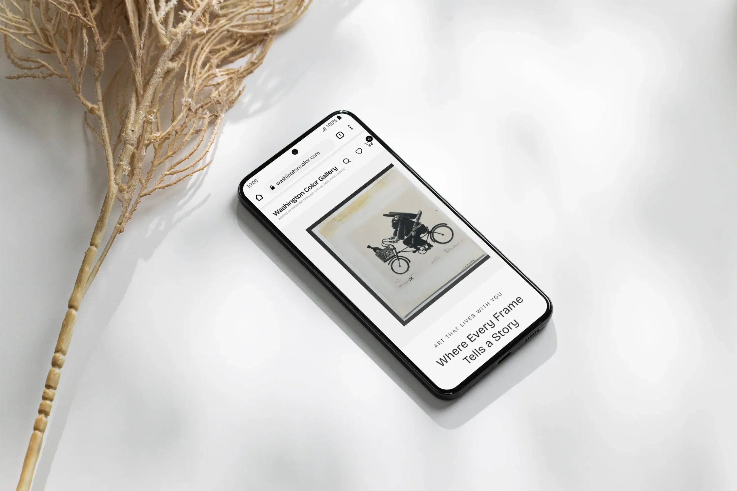 washingtone-second-slider-mobile-gallery-6