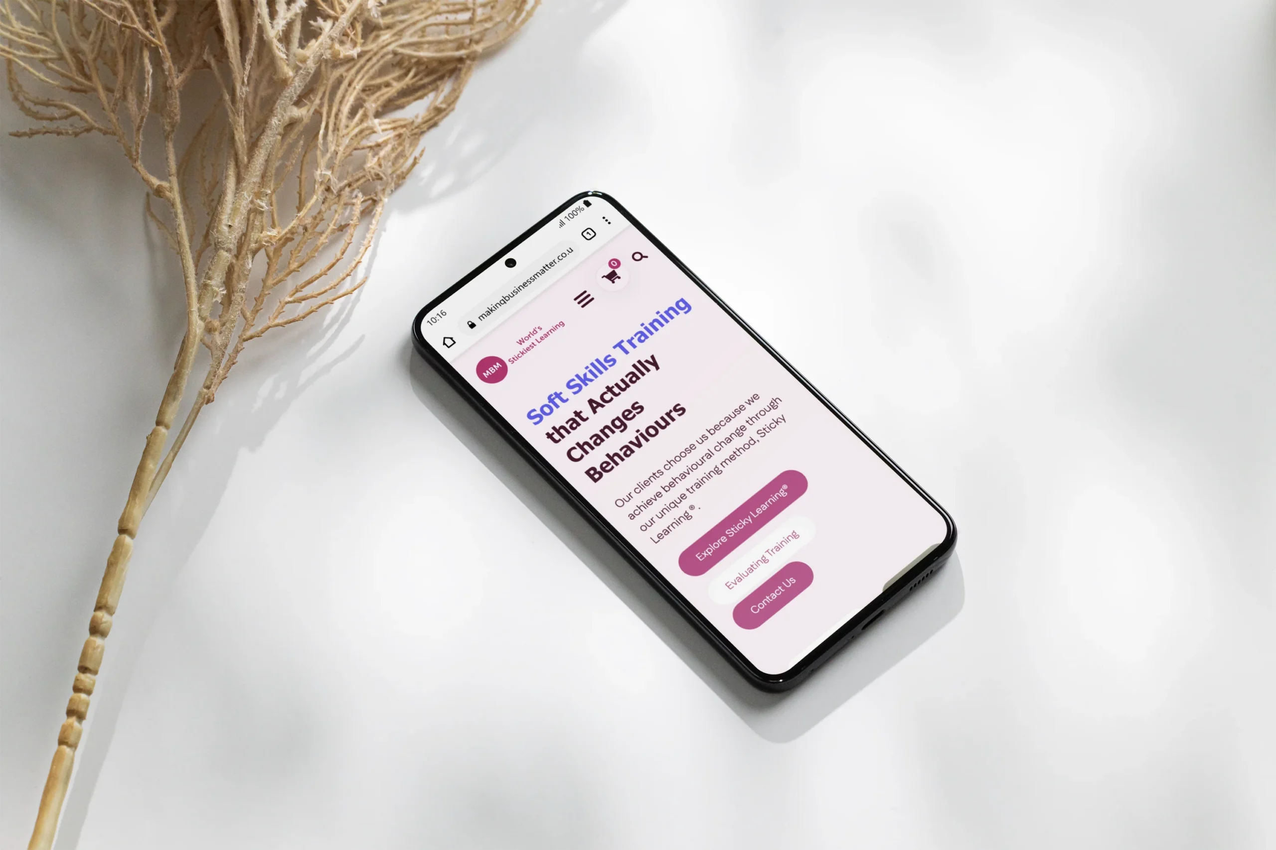 Website Redesign Case Study – MBM UI/UX Revamp & WordPress Development website redesign