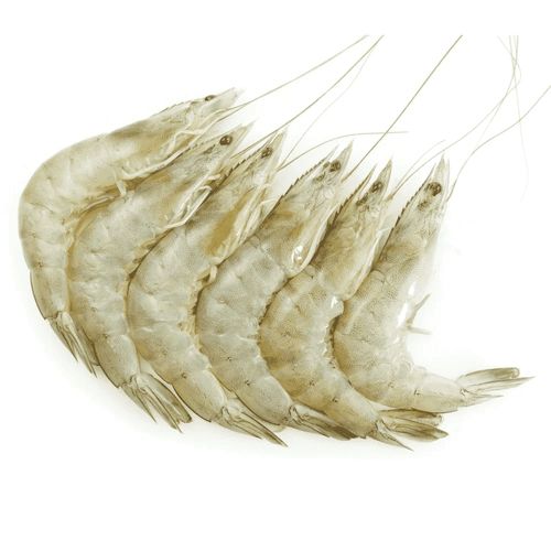 Medium-sized Prawns (Deshelled + Deveined)