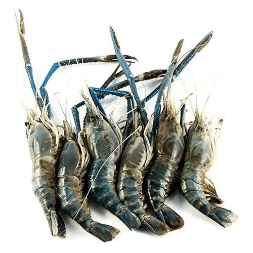 Galda Chingri / Large Scampi / Large Prawns (Deshelled + Deveined)