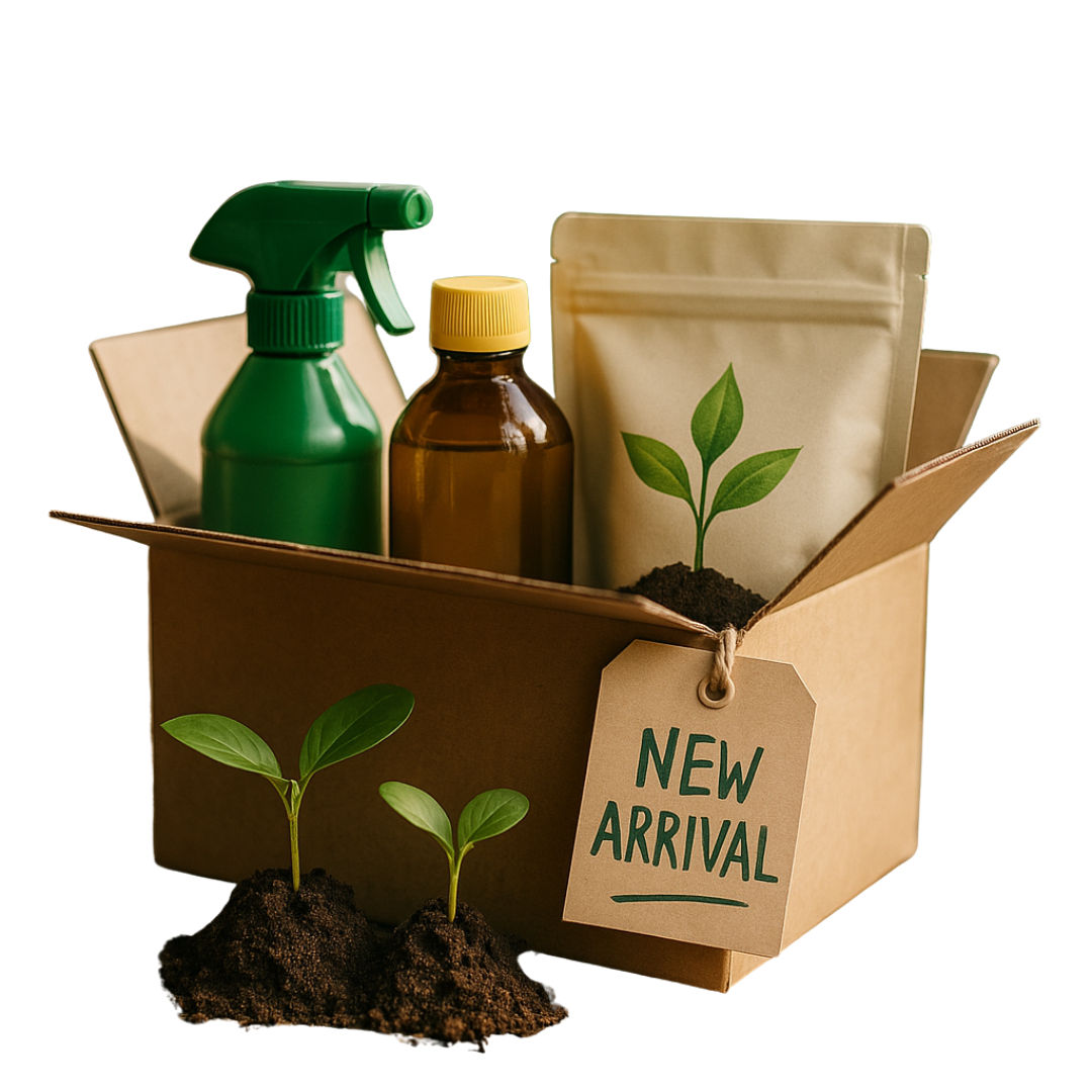 New Arrivals