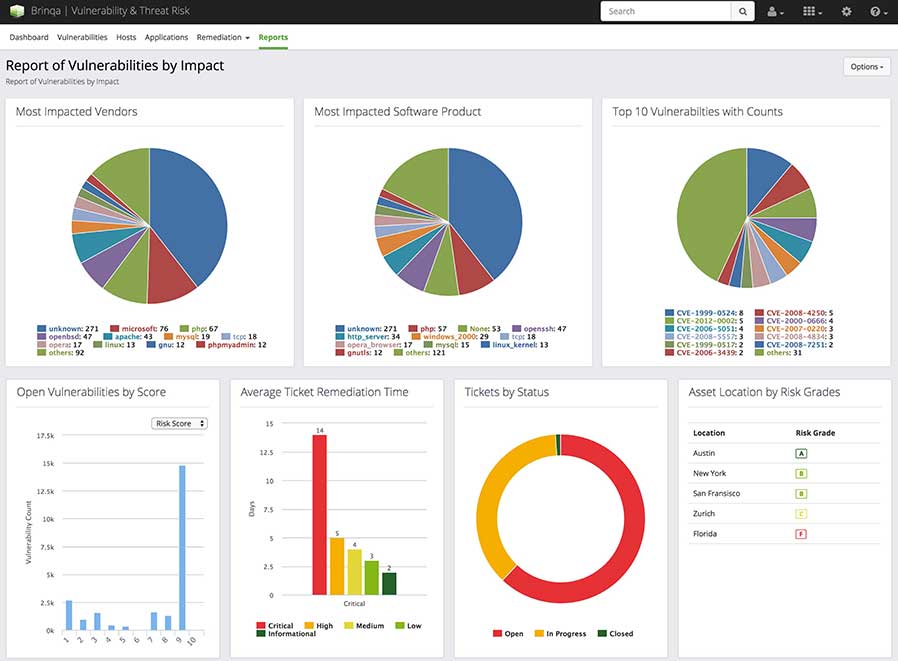 Brinqa Vulnerability Report screenshot