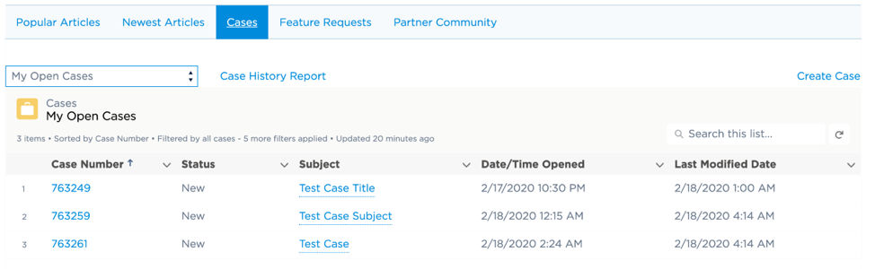 Customer Support Portal- Case View