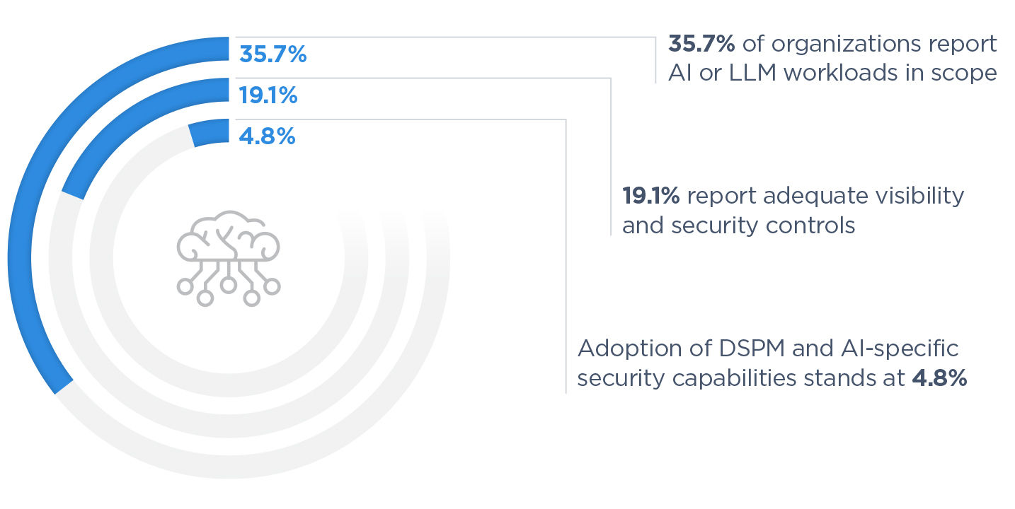 AI and LLM Security Maturity Image