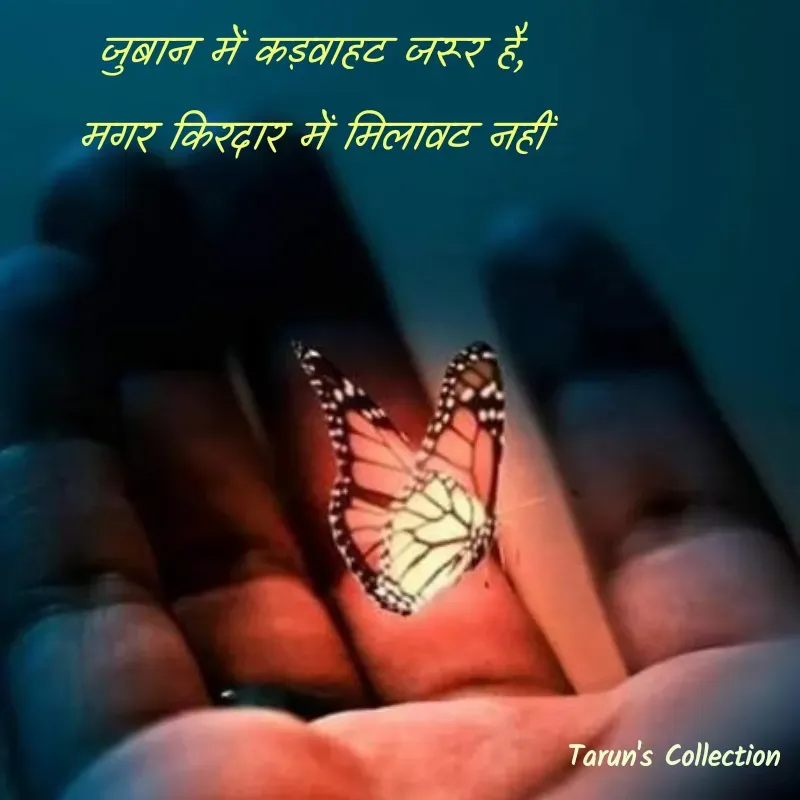Quote by Stranger - जुबान में कड़वाहट जरूर है, 
मगर किरदार में मिलावट नहीं  - Made using Quotes Creator App, Post Maker App
