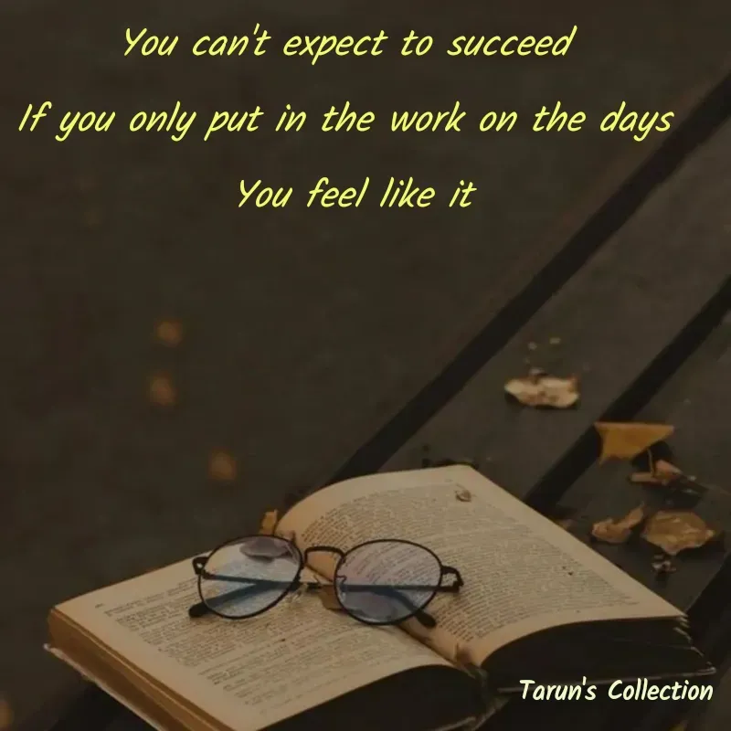 Quote by Stranger - You can't expect to succeed 
If you only put in the work on the days 
You feel like it - Made using Quotes Creator App, Post Maker App
