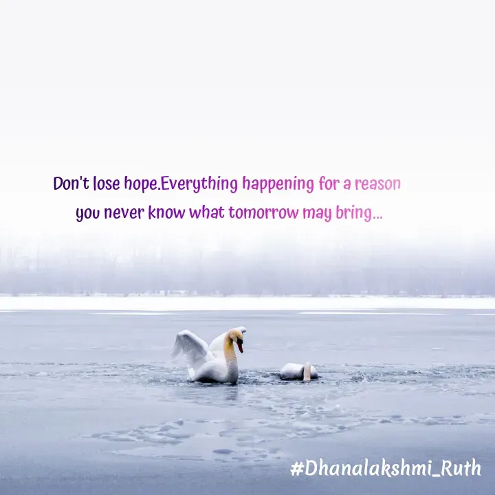 Quote by Dhanalakshmi Panjam - Don't lose hope.Everything happening for a reason
 you never know what tomorrow may bring... - Made using Quotes Creator App, Post Maker App