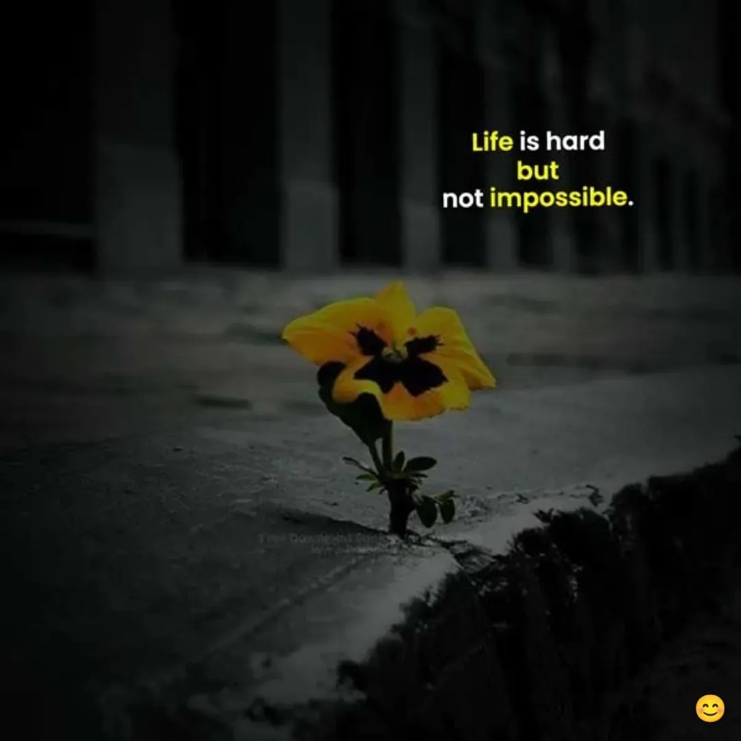 Quote by DON RUTH - Double tap to change text. - Made using Quotes Creator App, Post Maker App