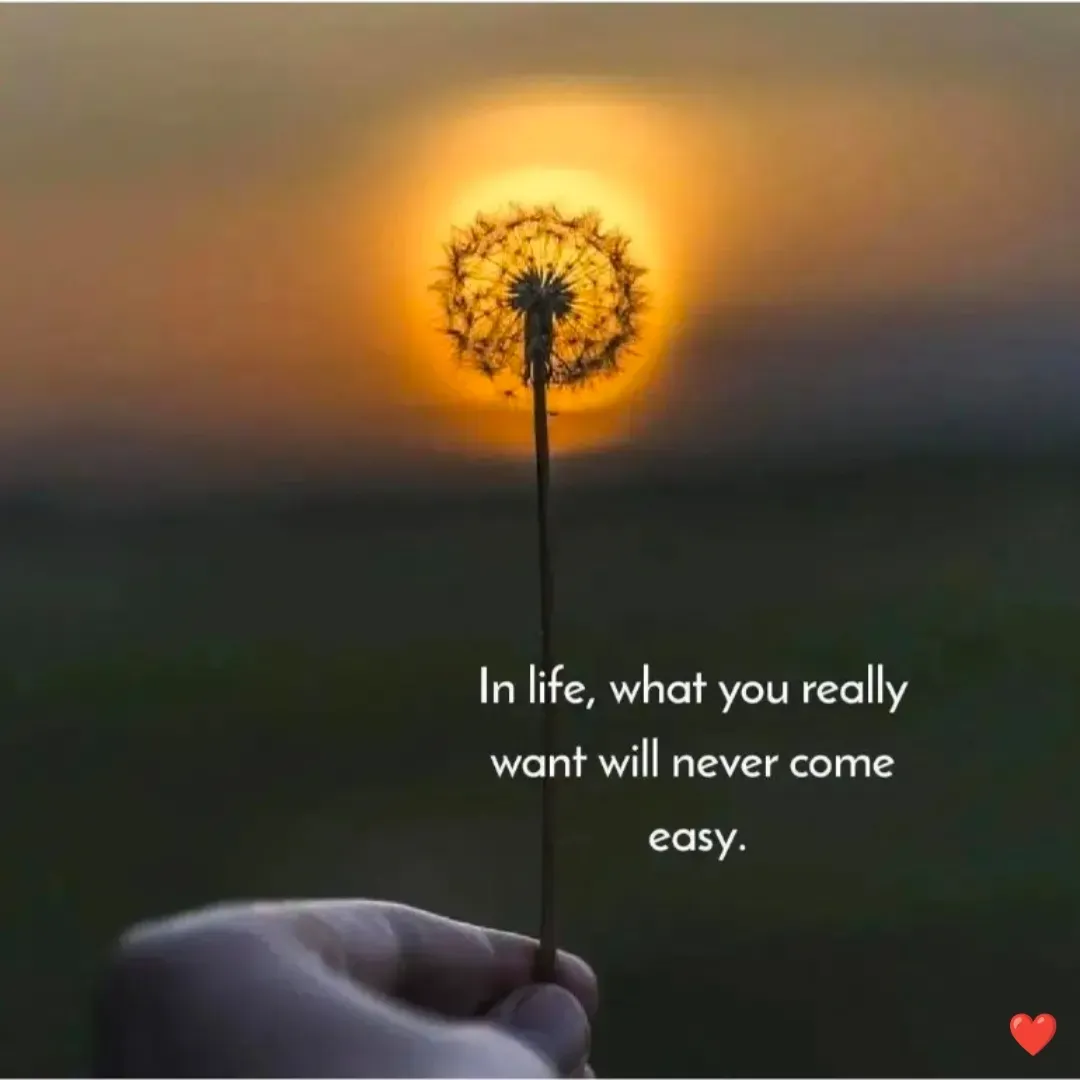 Quote by DON RUTH - Double tap to change text. - Made using Quotes Creator App, Post Maker App