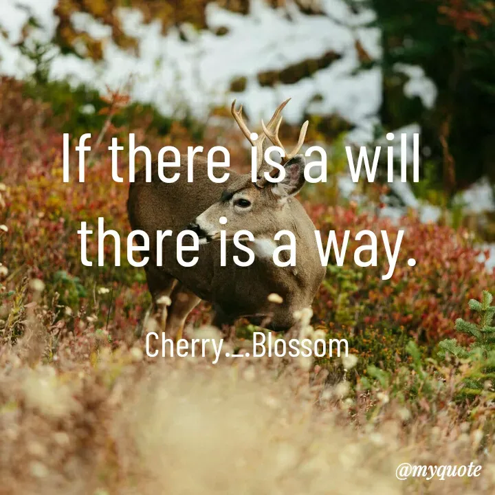 Quote by ~Cherry._.Blossom~ - If there is a will 
there is a way.

Cherry._.Blossom - Made using Quotes Creator App, Post Maker App