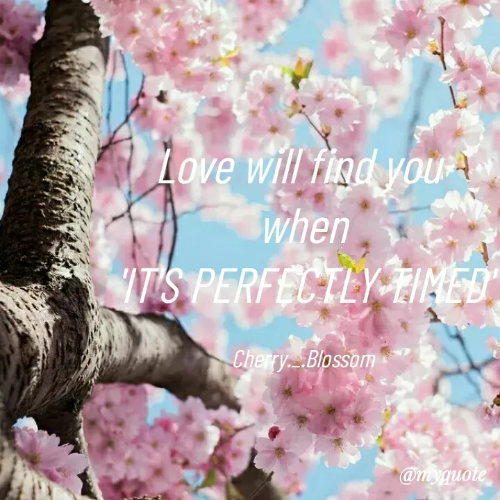Quote by ~Cherry._.Blossom~ - Love will find you 
when
'IT'S PERFECTLY TIMED'

Cherry._.Blossom - Made using Quotes Creator App, Post Maker App