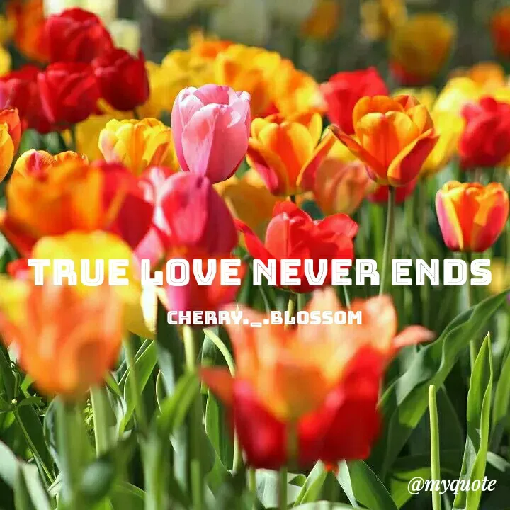 Quote by ~Cherry._.Blossom~ - TRUE LOVE NEVER ENDS 

Cherry._.Blossom - Made using Quotes Creator App, Post Maker App