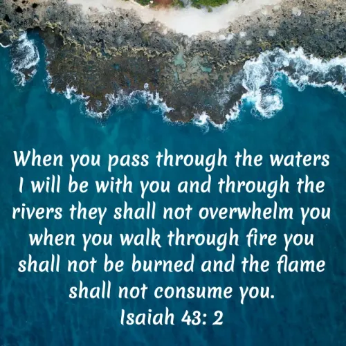 Quotes by Felsi D'souza - When you pass through the waters I will be with you and through the rivers they shall not overwhelm you when you walk through fire you shall not be burned and the flame shall not consume you.
Isaiah 43: 2