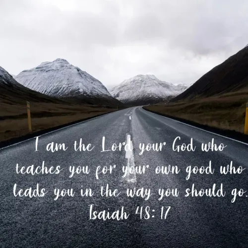 Quotes by Felsi D'souza - I am the Lord your God who teaches you for your own good who leads you in the way you should go.
Isaiah 48: 17