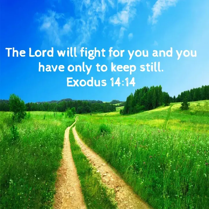 Quote by Felsi D'souza - The Lord will fight for you and you have only to keep still.
Exodus 14:14 - Made using Quotes Creator App, Post Maker App