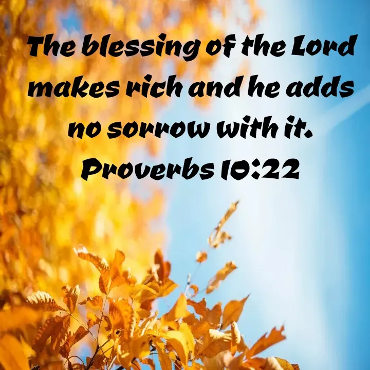 Quote by Felsi D'souza - The blessing of the Lord makes rich and he adds no sorrow with it.
Proverbs 10:22 - Made using Quotes Creator App, Post Maker App