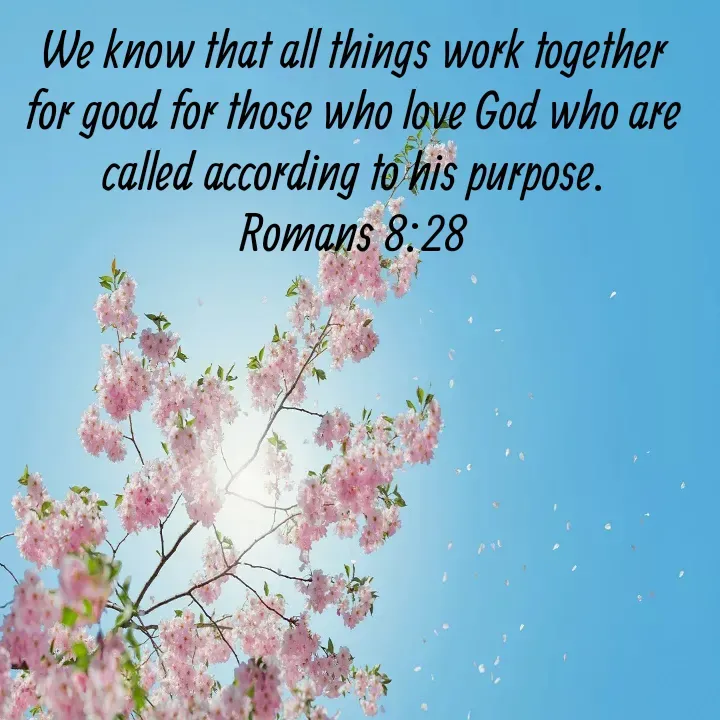 Quote by Felsi D'souza - We know that all things work together for good for those who love God who are called according to his purpose.
Romans 8:28 - Made using Quotes Creator App, Post Maker App