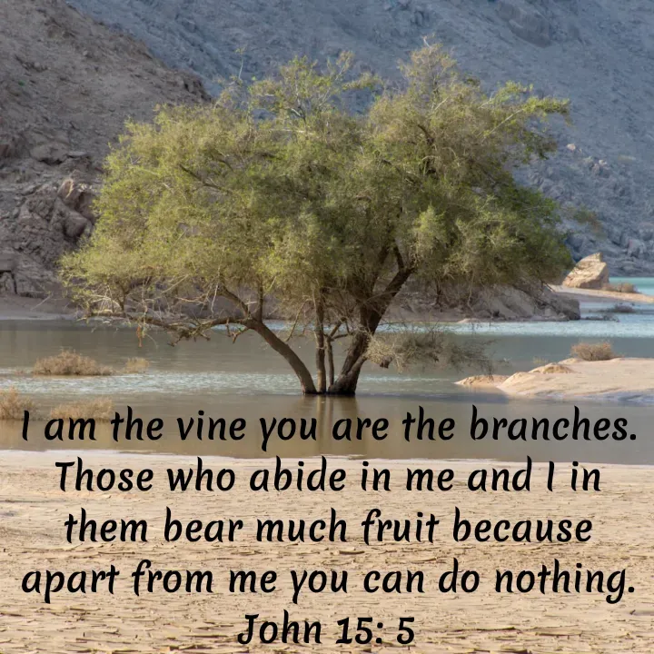 Quote by Felsi D'souza - I am the vine you are the branches. Those who abide in me and I in them bear much fruit because apart from me you can do nothing.
John 15: 5 - Made using Quotes Creator App, Post Maker App