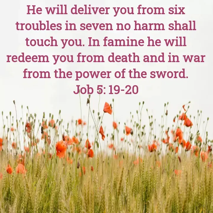 Quote by Felsi D'souza - He will deliver you from six troubles in seven no harm shall touch you. In famine he will redeem you from death and in war from the power of the sword.
Job 5: 19-20 - Made using Quotes Creator App, Post Maker App