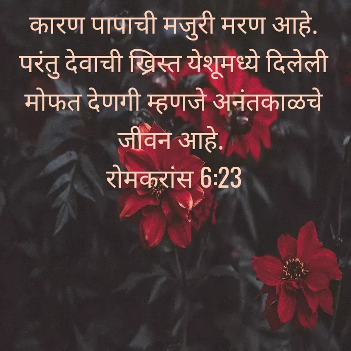 Quote by Felsi D'souza - कारण पापाची मजुरी मरण आहे. परंतु देवाची ख्रिस्त येशूमध्ये दिलेली मोफत देणगी म्हणजे अनंतकाळचे जीवन आहे. 
रोमकरांस 6:23

 - Made using Quotes Creator App, Post Maker App