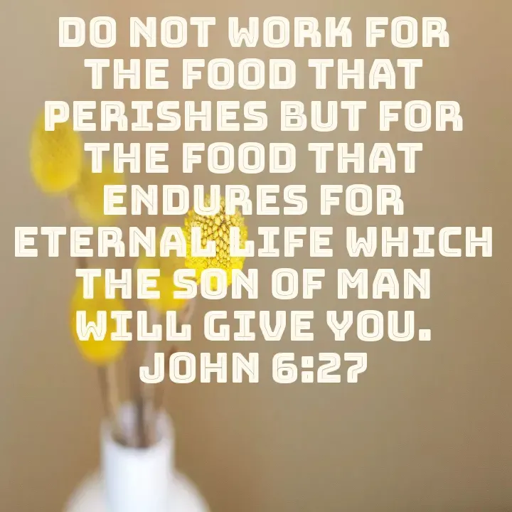 Quote by Felsi D'souza - Do not work for the food that perishes but for the food that endures for eternal life which the son of man will give you.
John 6:27 - Made using Quotes Creator App, Post Maker App