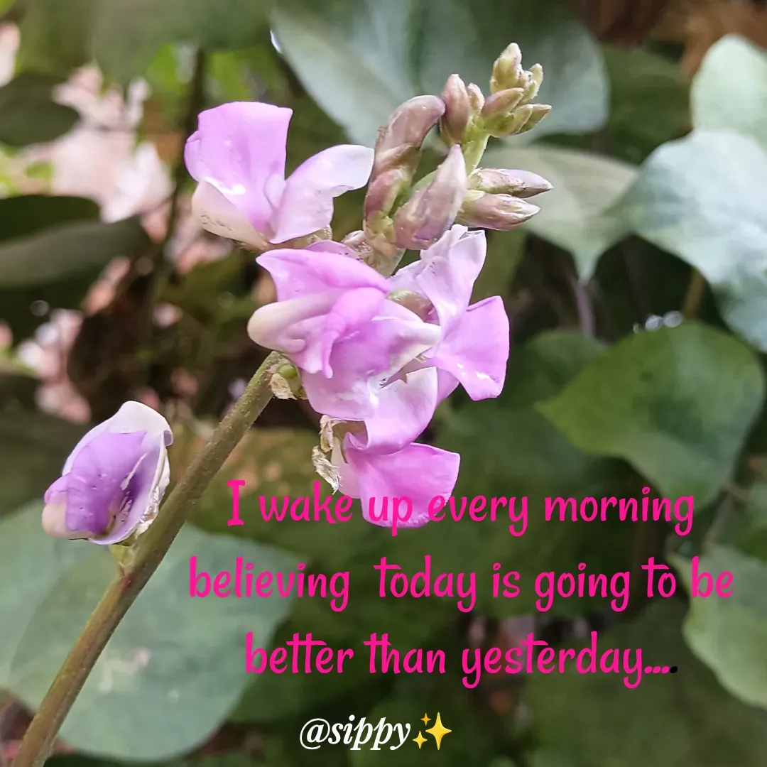 Quote by Laxmipriya Sahu - I wake up every morning
believing  today is going to be
 better than yesterday....  - Made using Quotes Creator App, Post Maker App